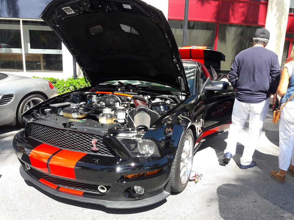 Miami Exotic and Classic Car Show
